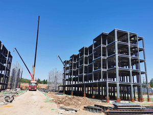 Custom Prefab Steel Frame Hospital Complex Building